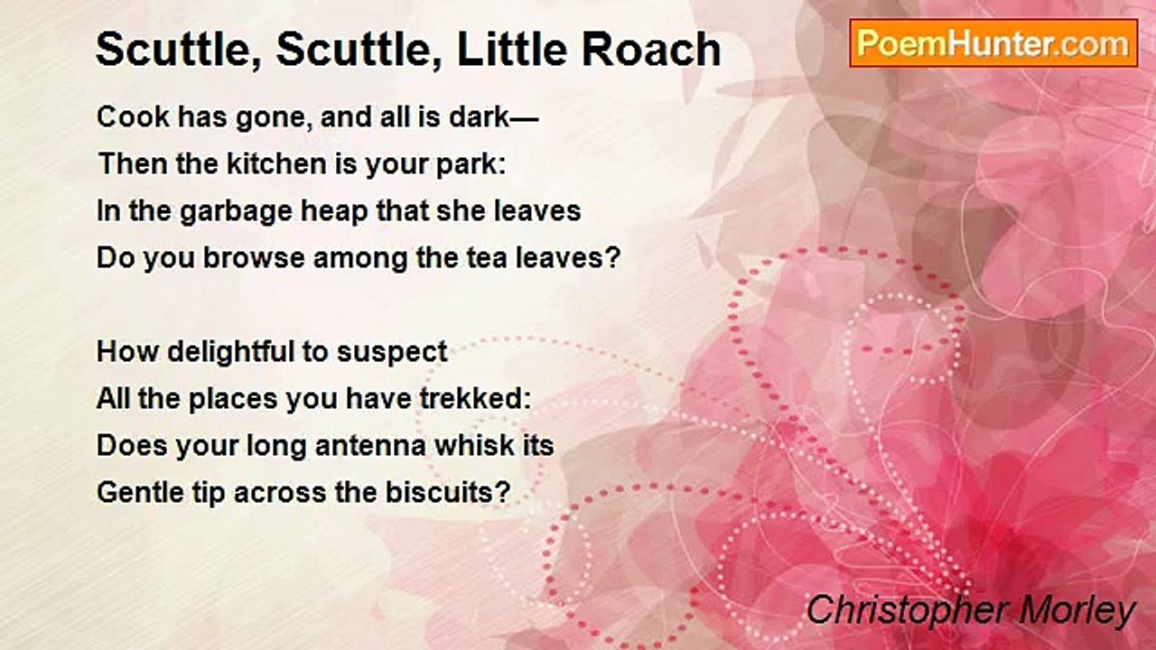 Christopher Morley - Scuttle, Scuttle, Little Roach