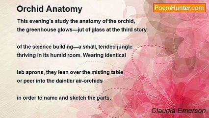 Claudia Emerson - Orchid Anatomy