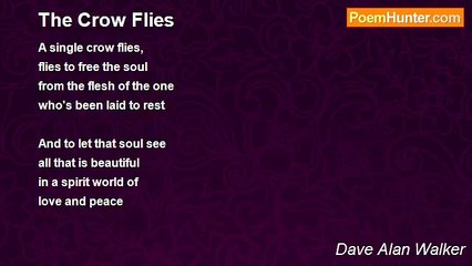 Dave Alan Walker - The Crow Flies
