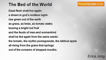 Erica Jong - The Bed of the World