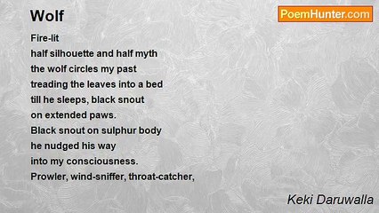 Keki Daruwalla - Wolf