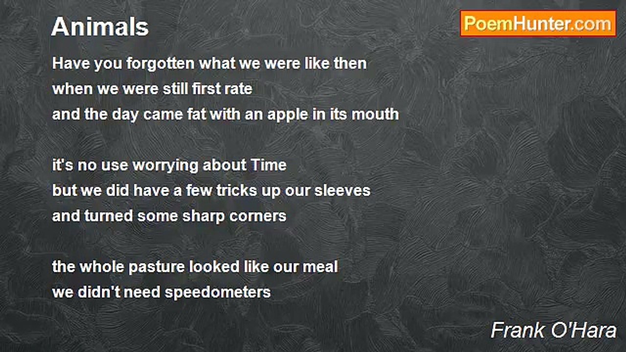 Frank O'Hara - Animals