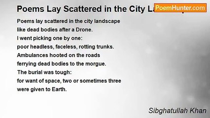 Sibghatullah Khan - Poems Lay Scattered in the City Landscape