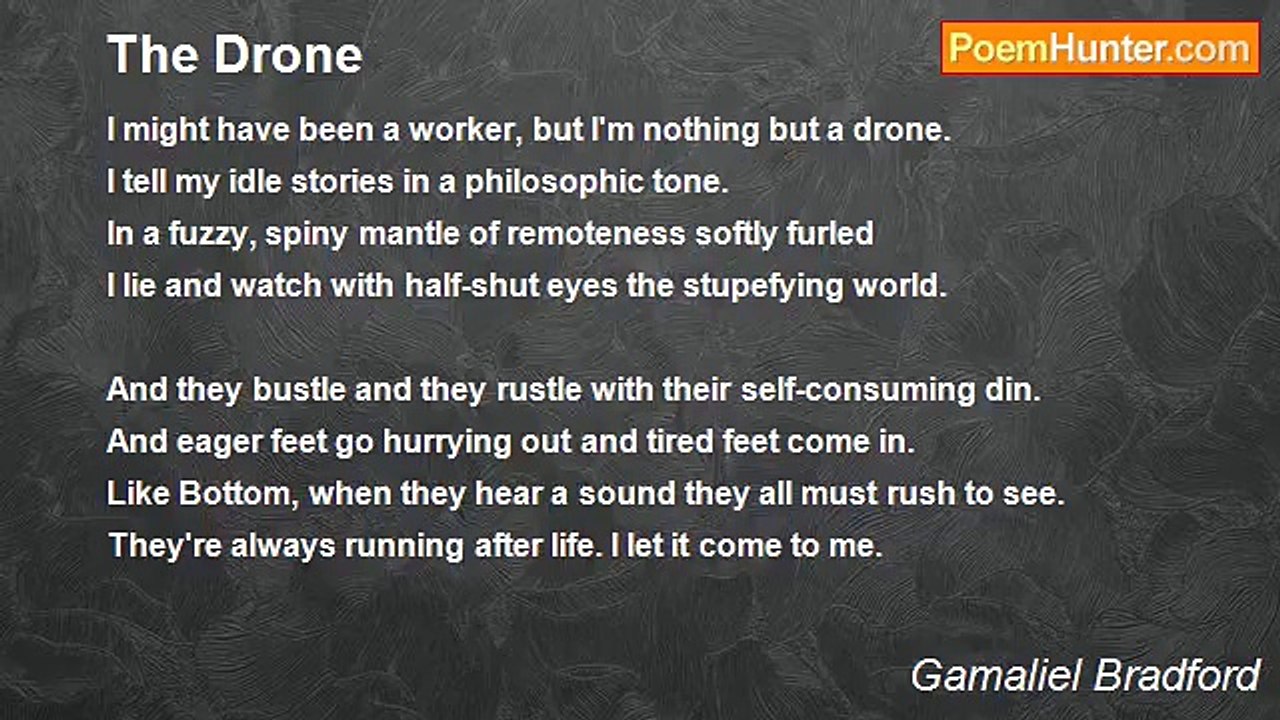 Gamaliel Bradford - The Drone