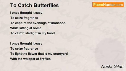 Noshi Gilani - To Catch Butterflies