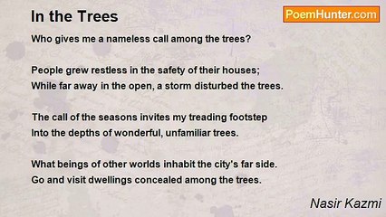Nasir Kazmi - In the Trees