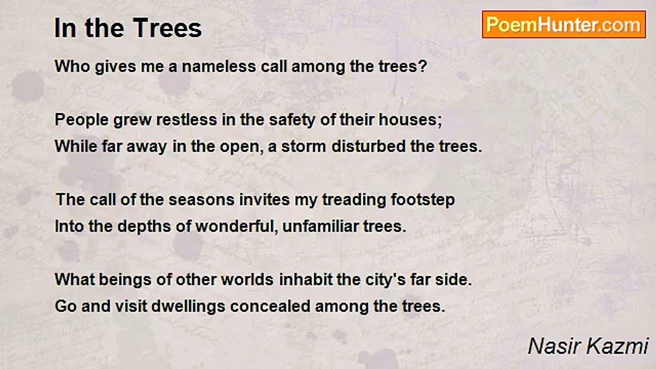 Nasir Kazmi - In the Trees