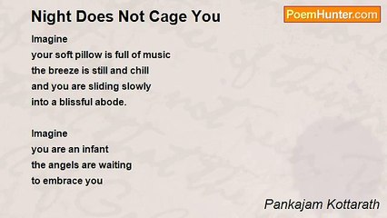 Pankajam Kottarath - Night Does Not Cage You