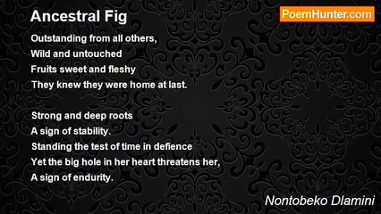 Nontobeko Dlamini - Ancestral Fig