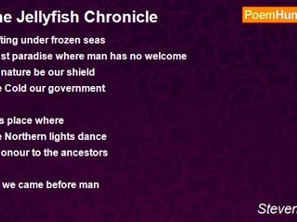 Steven Cooke - The Jellyfish Chronicle