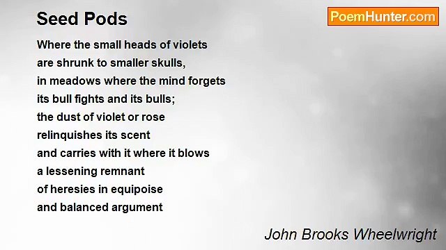 John Brooks Wheelwright - Seed Pods
