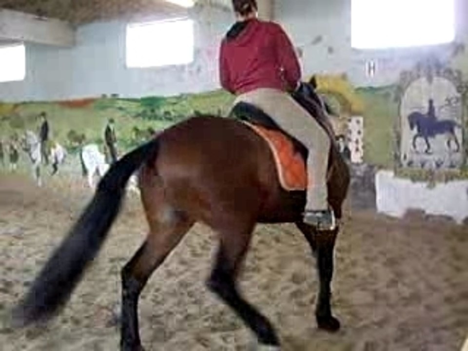 Cours Sue Oliveira