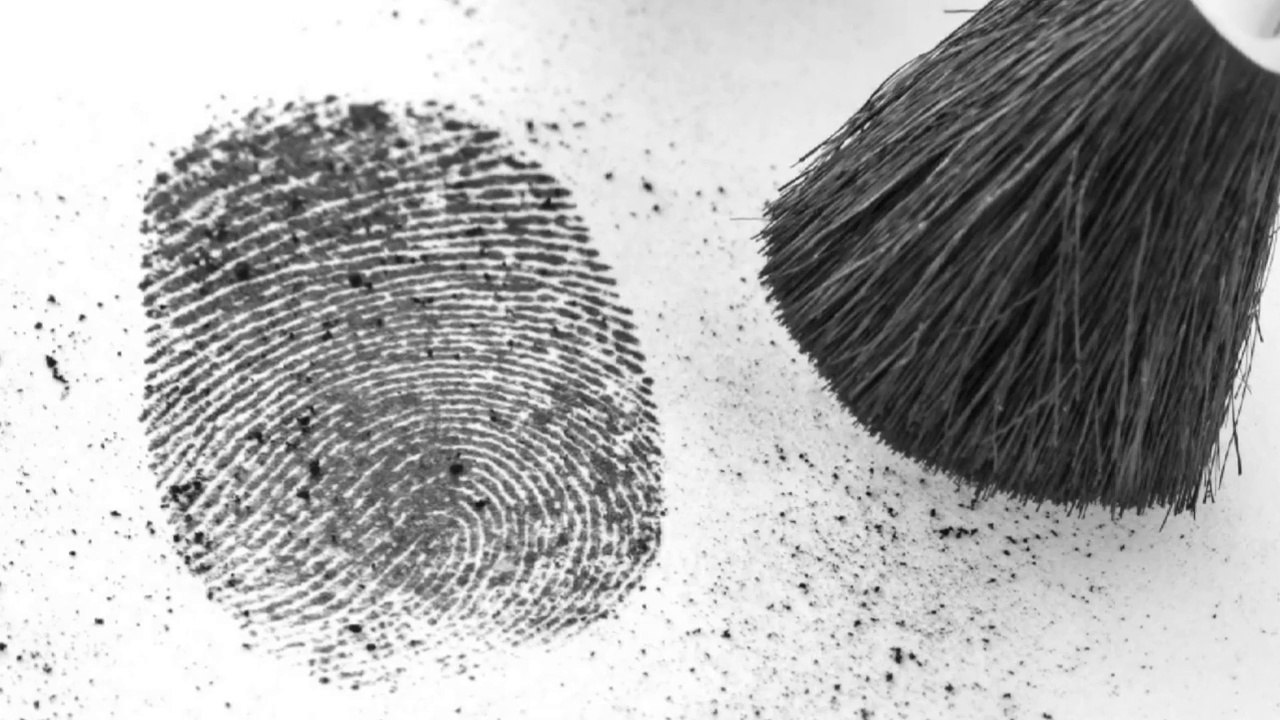 Archae-Facts  Finding Fingerprints!