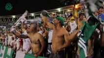 Obrigado, Pacaembu! Palmeiras faz homenagem ao estádio