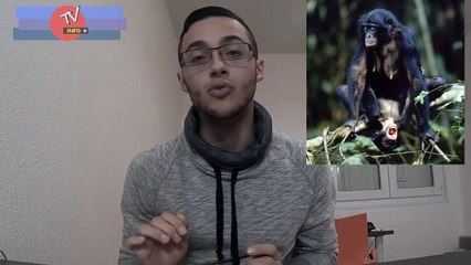 Ils Reviennent ...- Episode 1