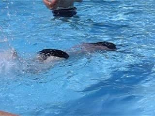 Niflar OLR ki c pas nager MDR