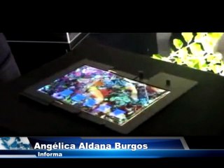 La revolucionada pantalla táctil flexible