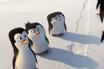 Les Pingouins de Madagascar - Video viral (VF)