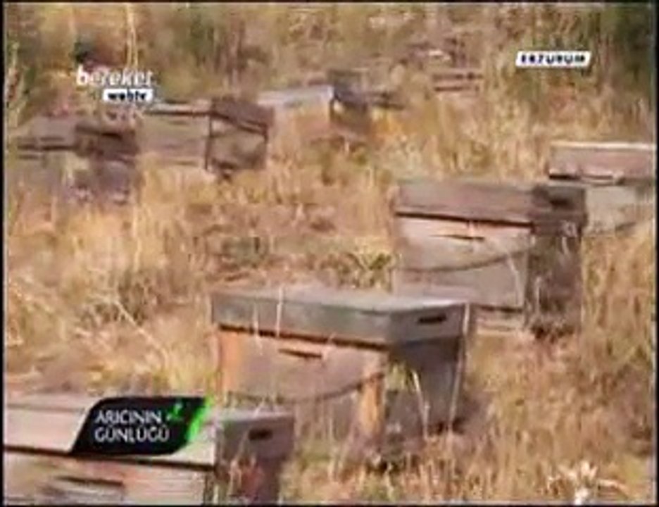 Bal Arıcılığı - Organik Bal ver Organik Arıcılık - Erzurum 6. Bölüm