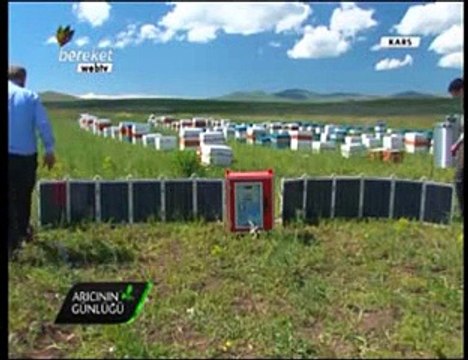 Bal Arıcılığı - Örnek Teşkil Eden Arıcılık - Kars 1. Bölüm