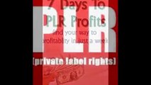 PLR, Private Label Rights,Making Money With PLR