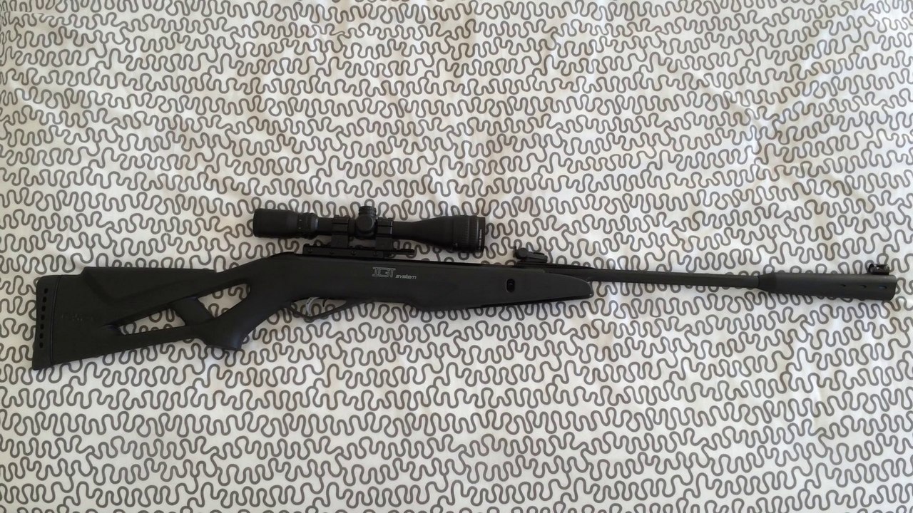 Review - Gamo Whisper IGT Calibre .22 (5,5 mm)