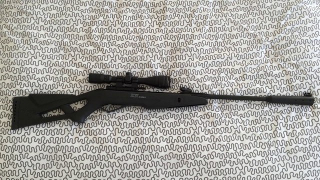 Review - Gamo Whisper IGT Calibre .22 (5,5 mm)