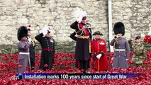 Final poppy planted at Tower of London WWI memorial