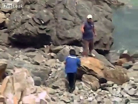 Deux pêcheurs agressent violemment un Lion de mer en jettant des pierres sur sa tête !