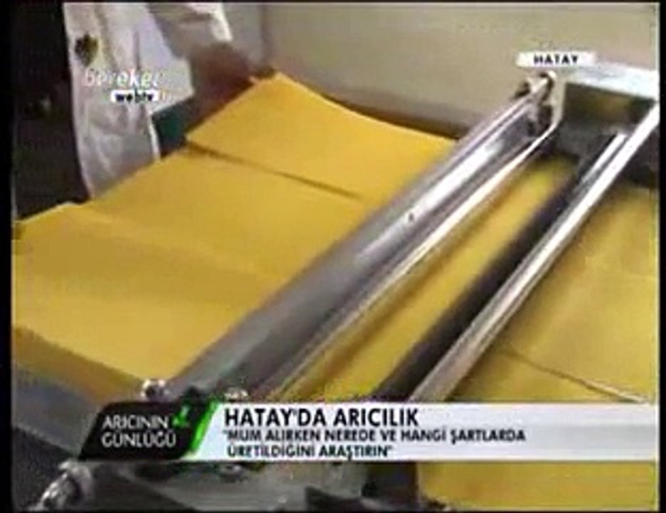 Bal Arıcılığı - Hatay Balı ve Hatay Arıcıları - 2. Bölüm