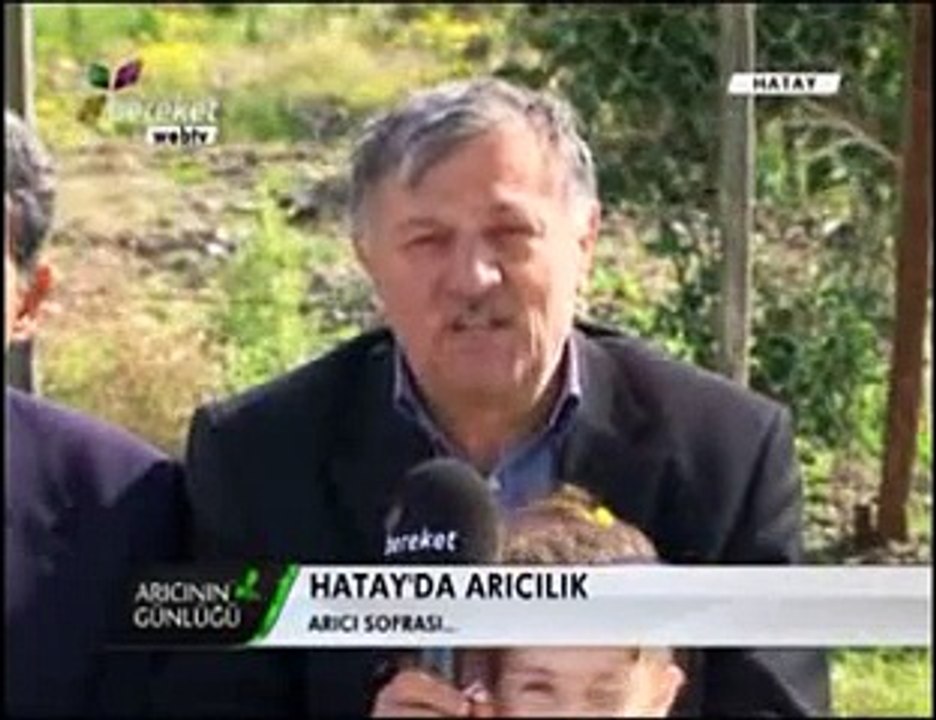 Bal Arıcılığı - Hatay Balı ve Hatay Arıcıları - 5. Bölüm