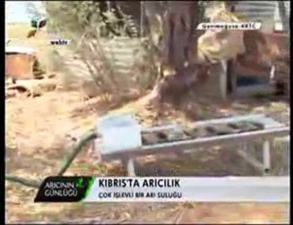 Bal Arıcılığı - Kıbrısta Arıcılık -12. Bölüm