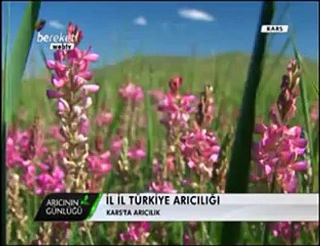 Bal Arıcılığı - Kars ve Ağrıda Arıcılık ve Bal Üretimi- 1. Bölüm