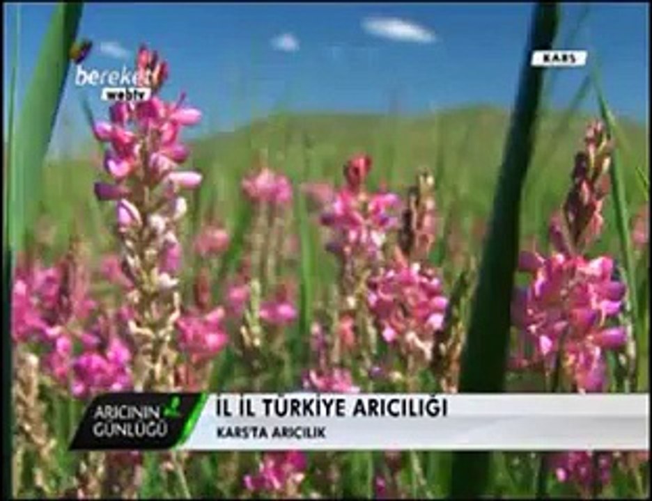 Bal Arıcılığı - Kars ve Ağrıda Arıcılık ve Bal Üretimi- 1. Bölüm