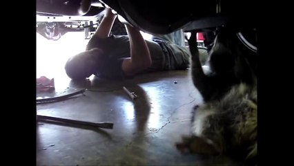 [+18 ~ Sexy Funny Girl]Raccoon Mechanic