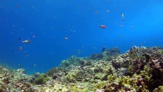 与那国島 古代海底都市 (Yonaguni) Ancient Underwater City