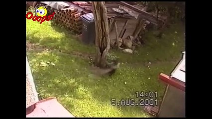 [+18 ~ Sexy Funny Girl]Pranks - Gags - Win - Fail.101