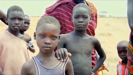 STRAY  DOGGS Joe Johnson Wax