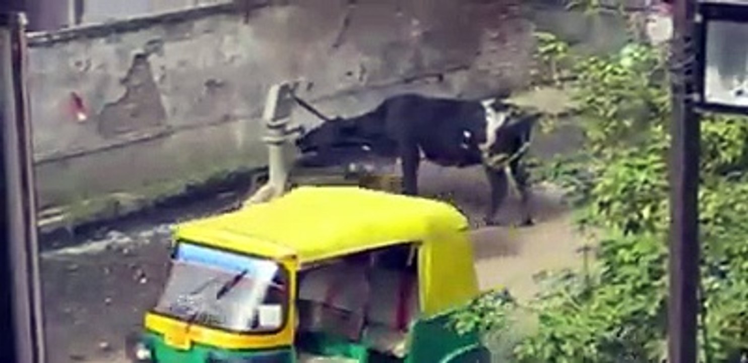 دہ لانجو ڈکہ صنمہ _ فیس بک