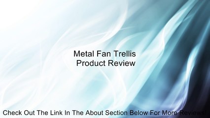 Metal Fan Trellis Review