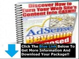 Google Adsense Secrets Download   Adsense Secrets 5 Review