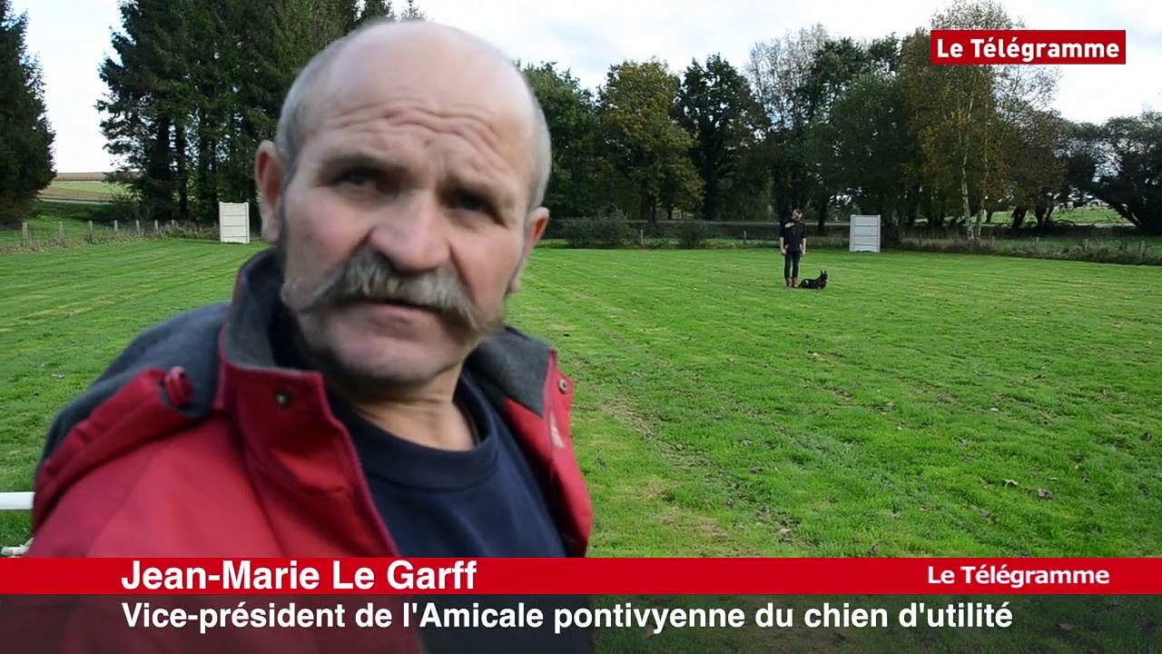Pontivy. Sport canin : journée de 'ring' au Valvert