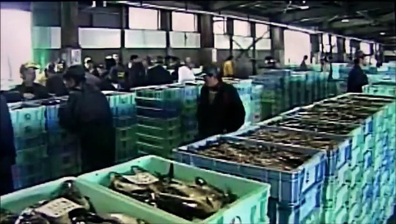 NHK 小さな旅 : 全国から 魚を求めて : 羅臼町　北海道