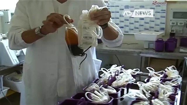 EMERGENZA SANGUE, APPELLO ANCHE AGLI IMMIGRATI