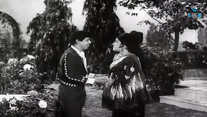 Kettikkaran Movie - Nagesh Back To Back Comedy Scenes