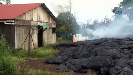 Lavlar evi yok etti