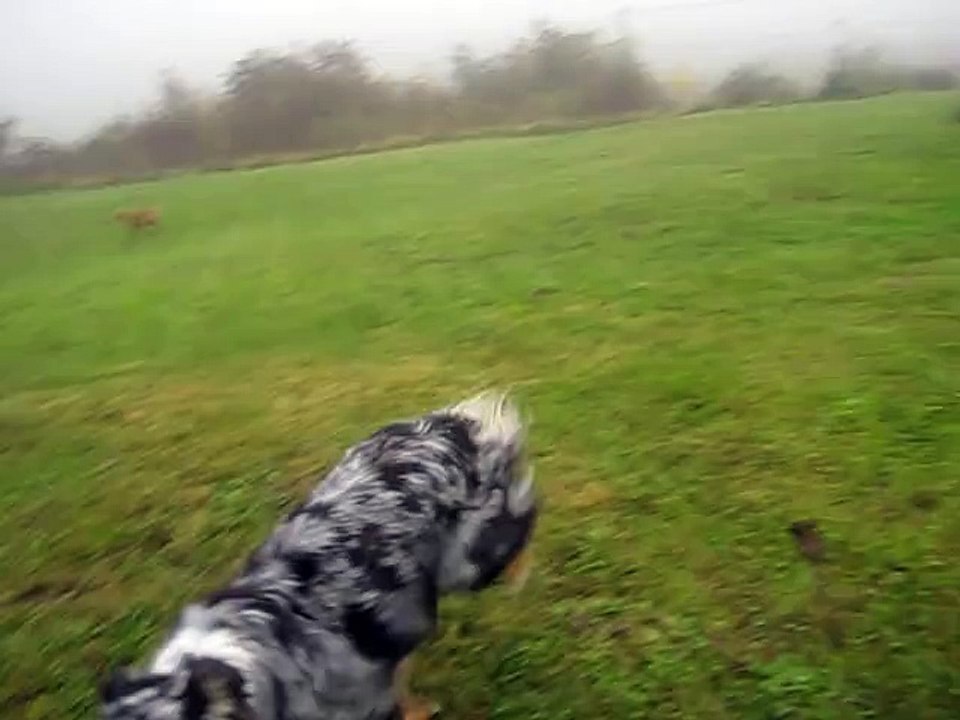 11 nov 14, balade sur le terrain (parc)