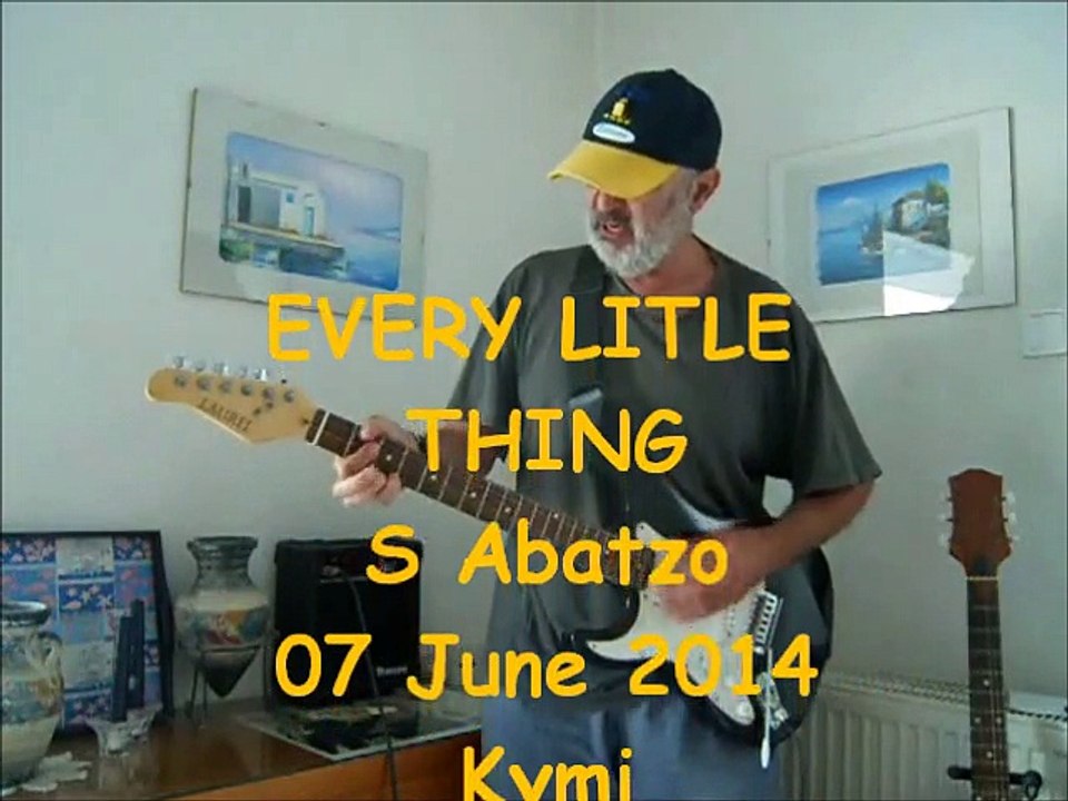 EVERY LITTLE THING