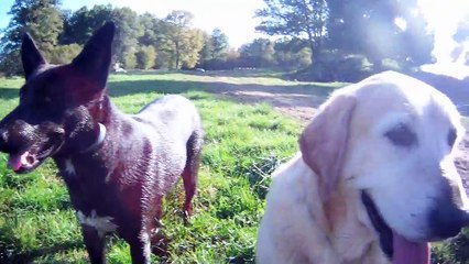 Vacances en Creuse ♥ | Automne 2014