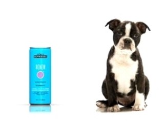 Good Soda! Shake! Jump!